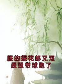 朕的探花郎又双叒叕带球跑了全文在线阅读 萧策陆则安小说全本无弹窗