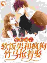 《想独美后，软饭男和疯狗竹马抢着娶》小说全文精彩章节在线阅读（林茵知许向阳）