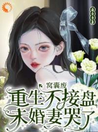 重生后，我踹了花心老婆全文免费试读(沈昭衍李诗婉) 完结版