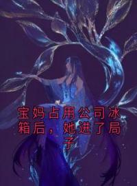 《宝妈占用公司冰箱后，她进了局子》小说完整版在线阅读（主角申丽云琇邢姣）