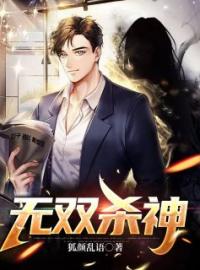 无双杀神全文在线阅读 叶秋白冰小说全本无弹窗