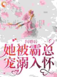 闪婚后，她被霸总宠溺入怀全文在线阅读 苏昭棠周凌靖小说全本无弹窗