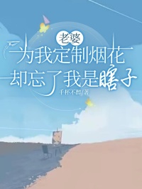 小说《老婆为我定制烟花，却忘了我是瞎子》陈翔夏俪梁辰全文免费试读