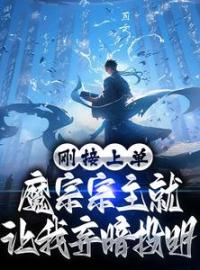 《刚接上单，魔宗宗主就让我弃暗投明》林墨江寒衣全文阅读