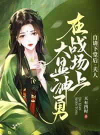 自请下堂后，夫人在战场上大显神勇完整版 叶锦欢傅夜寒全章节阅读