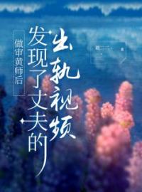 《做审黄师后发现了丈夫的出轨视频》小说完整版在线阅读（主角顾星盈季衫秦珂）