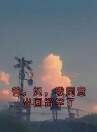 爸，妈，我同意出国留学了(孟思遐邵珈宸)全文完结在线阅读完整版