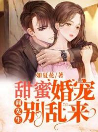 甜蜜婚宠：阎先生别乱来全文免费试读(安小勉阎瑾墨) 完结版