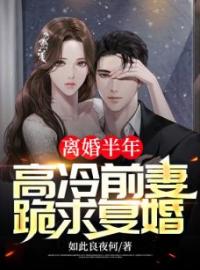 《离婚半年，高冷前妻跪求复婚》小说完整版在线阅读（主角陈凡白羽）