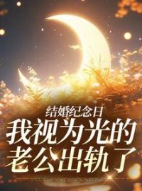 结婚纪念日，我视为光的老公出轨了尹禾月宋屿舟全本大结局阅读