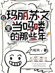 在玛丽苏文里当吗喽的那些年(唐糖叶斓兰)全文完结在线阅读完整版