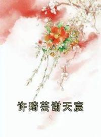 《许琦芸谢天宸》谢天宸许琦芸小说全文免费试读