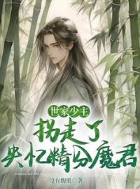 世家少主拐走了失忆精分魔君全文免费试读(晏云迟萧凌翳) 完结版