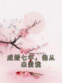 成婚七年，他从未爱我全文免费试读(林苒慕瑾辞) 完结版