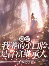 《震惊！我养的小白脸是首富继承人》叶温漾凌墨小说全文免费试读