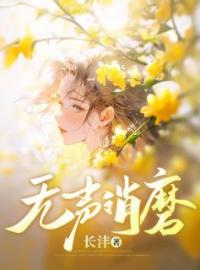 《无声消磨》小说全集免费在线阅读（沈晨晨周书言）