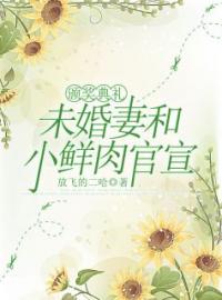 《颁奖典礼，未婚妻和小鲜肉官宣》最新章节 颁奖典礼，未婚妻和小鲜肉官宣梁戬沈如烟全文阅读