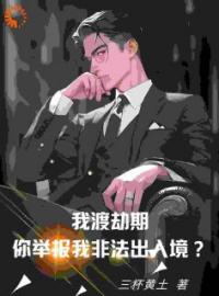 我渡劫期，你举报我非法出入境？完整全文阅读 张凡孙莹莹小说结局无删节