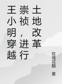 王小明崇祯帝小说《王小明穿越崇祯，进行土地改革》全文及大结局精彩试读