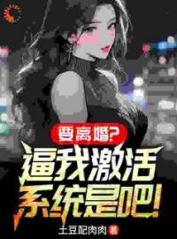 《离婚后，我靠娶小姨子走上巅峰》李苏白宫未央小说全本在线阅读