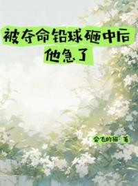 被夺命铅球砸中后他急了完整版 徐文文李闽恩全章节阅读