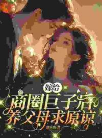 本想娶花瓶，结果娶了个小祖宗(盛心瓷秦凛)全文完结在线阅读完整版