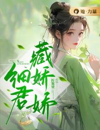 《细君藏娇娇》绛莺林鸿涛小说精彩内容在线阅读