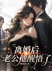 离婚后，老公他醒悟了完整版 凌霄陈世斌全章节阅读