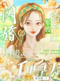 苏念念顾知野小说《闪婚相错人，军嫂揣孕肚千里寻夫》全文及大结局精彩试读