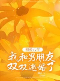 相爱八年，我和男朋友双双逃婚了全文免费试读(沈乔陆云泽沈亚茹) 完结版