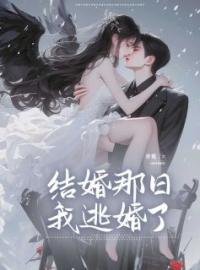 《结婚那日，我逃婚了》小说全集免费在线阅读（郁乐安谢安寒）