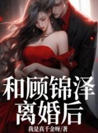 和顾锦泽离婚后小说全集免费在线阅读（夙灵顾锦泽）