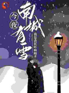 今夜南城有雪全文在线阅读 陈雪沈谦南小说全本无弹窗