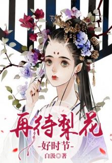 再待梨花好时节纪七林宛纪安知小说阅读_再待梨花好时节文本在线阅读