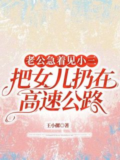 赵池萌萌小说《老公急着见小三，把女儿扔在高速公路》全文及大结局精彩试读