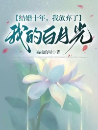 结婚十年，我放弃了我的白月光免费试读(严鹤乔慧小说全本资源) 无广告