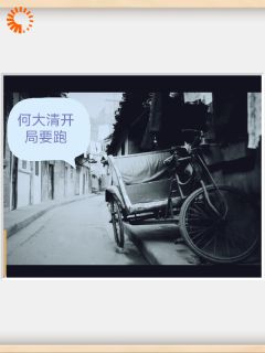 四合院之开局何大清要跑