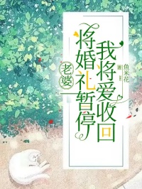 小说《老婆将婚礼暂停，我将爱收回》陆子泽姜雪王砚全文免费试读