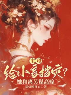 主母给小妾挡灾？她和离另谋高嫁林书音沈汀寒小说全本在线阅读