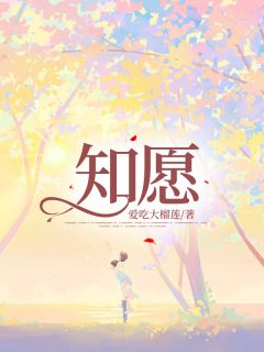 知愿全文免费试读(沈知愿顾城苏青青) 完结版