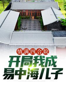 《情满四合院：开局我成易中海儿子》小说完整版在线阅读（主角易平安桂花）