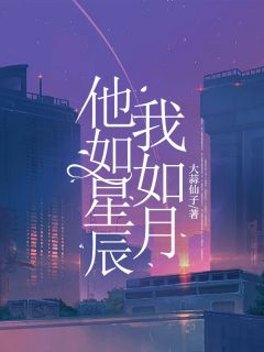 他如星辰我如月(沈南栀赵西辞商时屿)全文完结在线阅读完整版