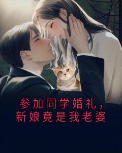 参加同学婚礼，新娘竟是我老婆叶晨苏寒烟小说_参加同学婚礼，新娘竟是我老婆小说章节