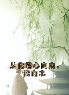 从此君心向南，我向北