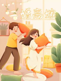 《二婚高嫁》小说全集免费在线阅读（林霜周亦陆铭声）