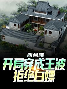 四合院：开局穿成王波，拒绝白嫖全章节免费在线阅读 王波雨水小说完结版