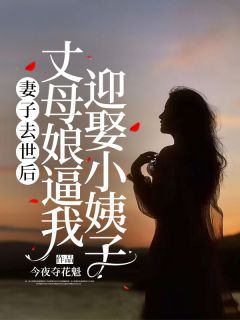 妻子去世后，丈母娘逼我迎娶小姨子免费试读(陈正豪袁玲雅小说全本资源) 无广告