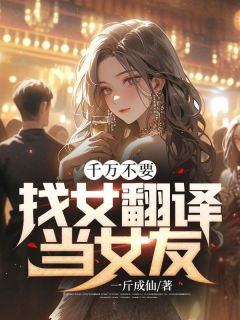 《千万不要找女翻译当女友》小说全文精彩章节在线阅读（婷婷小美）