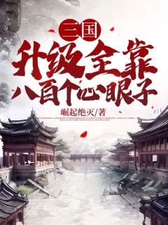 三国：升级全靠八百个心眼子免费试读(刘尚小碧小说全本资源) 无广告