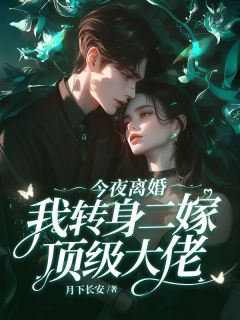 《今夜离婚，我转身二嫁顶级大佬》小说完整版在线阅读（主角南希时凛）